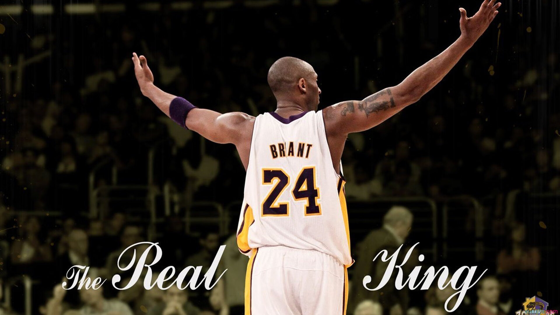 澳大利亚加强橄榄球基础设施建设,澳大利亚国家橄榄球联赛